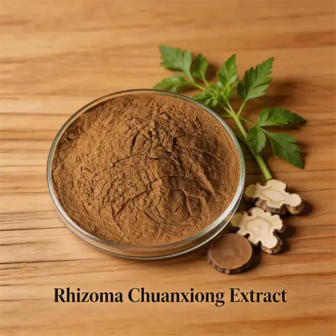 Rhizoma Chuanxiong Extract for Migraine Relief Solutions
